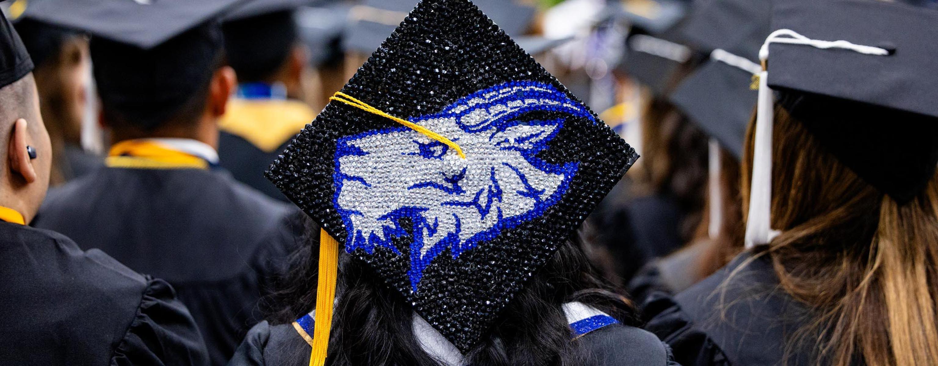 Photograph of a graduating senior's cap decorated with a Topper design.