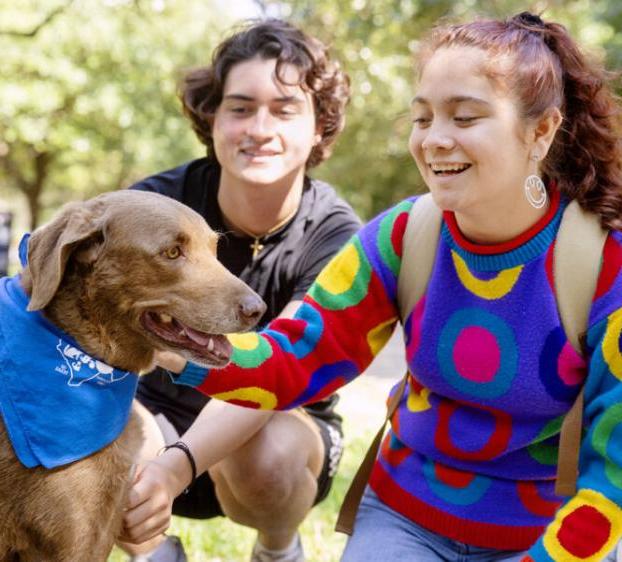 Students with a dog during a dog therapy session